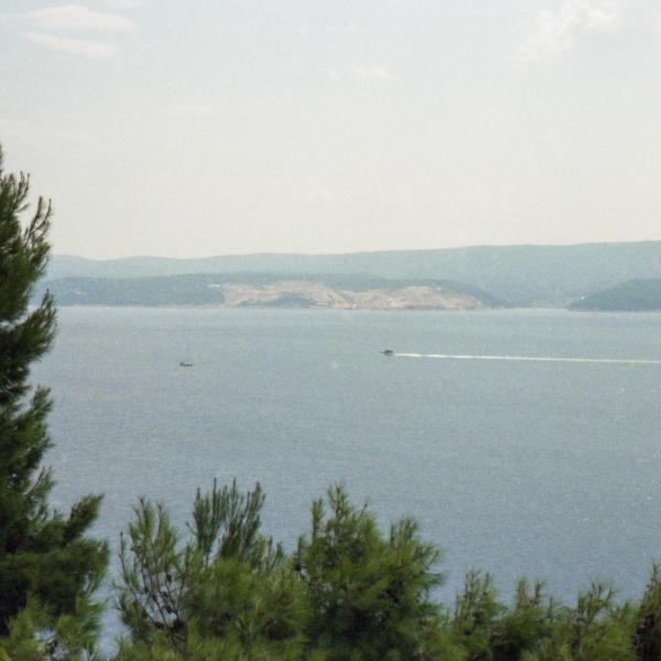 Analogue photograph by Mateusz Siudmak