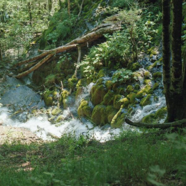 Analogue photograph by Mateusz Siudmak