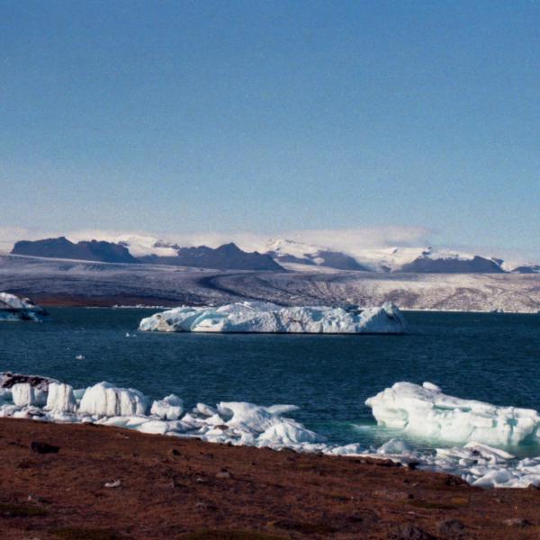 Analogue photograph by Mateusz Siudmak