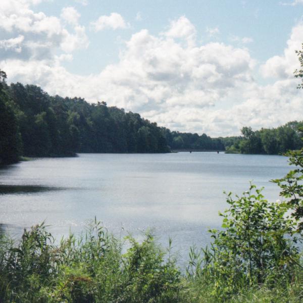 Analogue photograph by Mateusz Siudmak