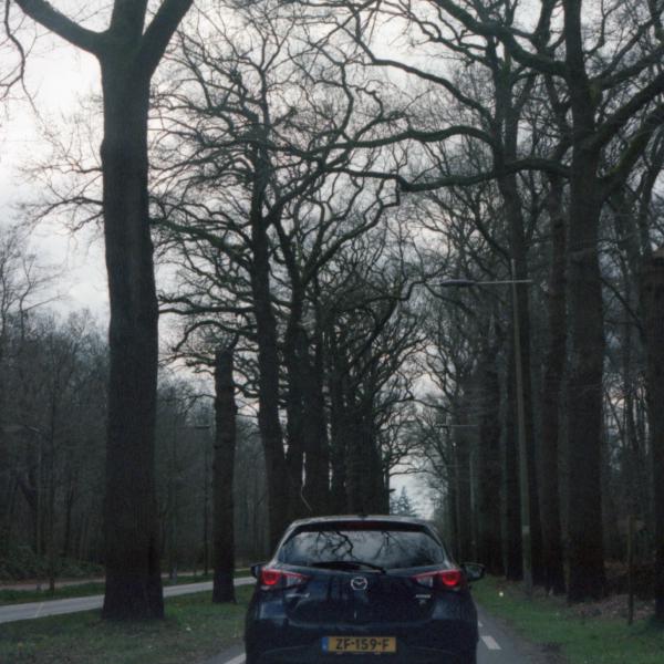 Analogue photograph by Mateusz Siudmak