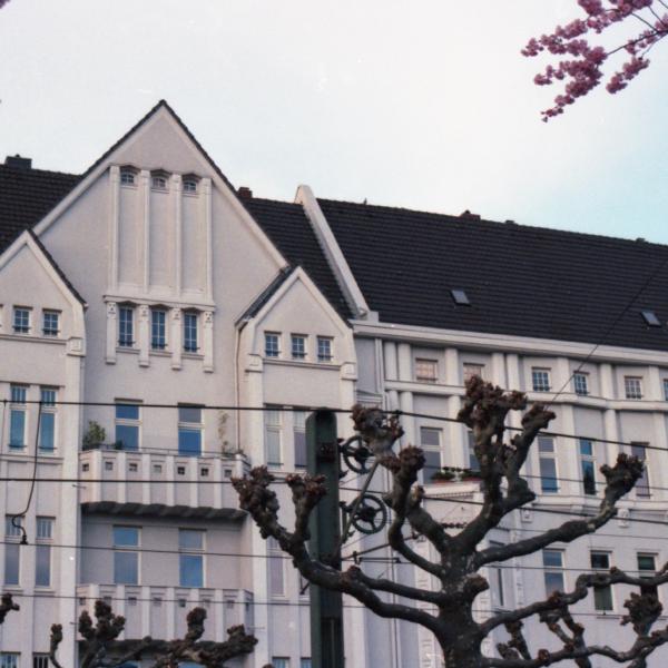 Analogue photograph by Mateusz Siudmak