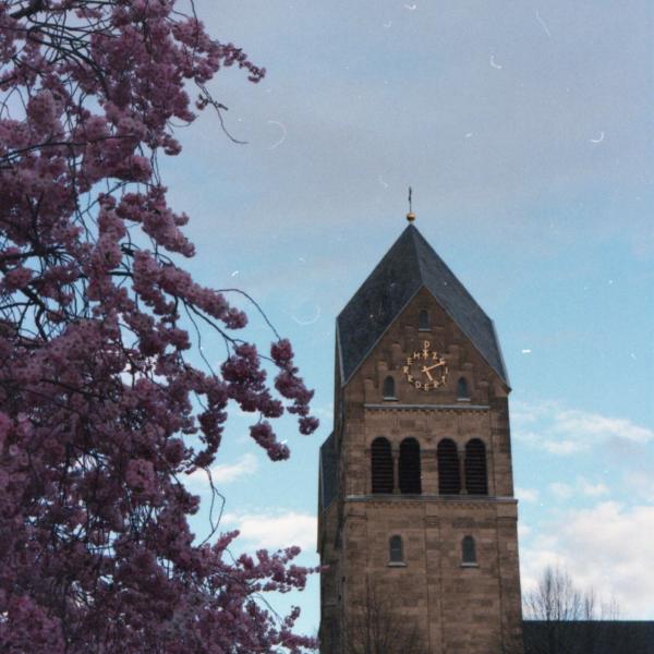 Analogue photograph by Mateusz Siudmak