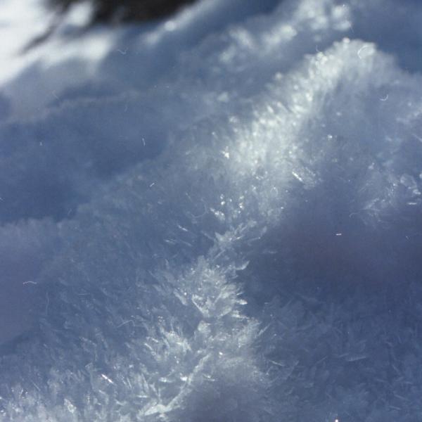 Analogue photograph by Mateusz Siudmak