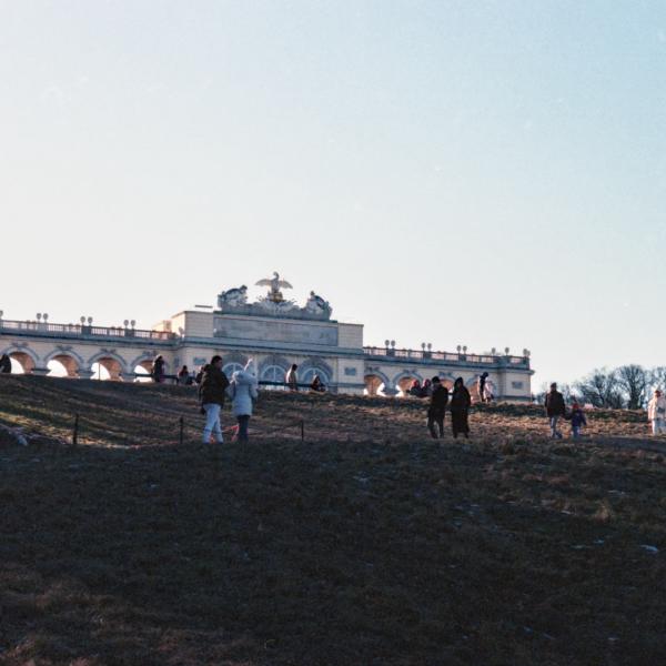 Analogue photograph by Mateusz Siudmak